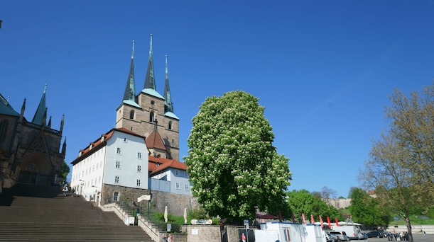 Die Severikirche steht auf dem Domhügel in Erfurt. Sankt Severi, Severikirche Erfurt, Domberg, Domhügel, Kastanie, Kirche, Religion, Domstufen